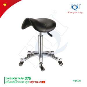 GHẾ ĐÔN THẤP HQH D75
