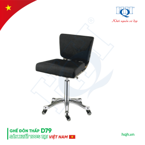 GHẾ ĐÔN THẤP HQH D79