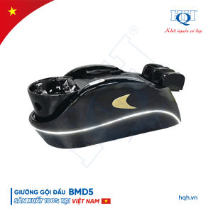 Giường gội đầu Massage cao cấp HQH BMD5