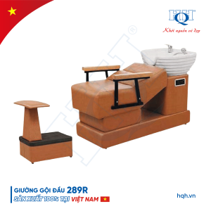 GIƯỜNG GỘI ĐẦU HQH 289R