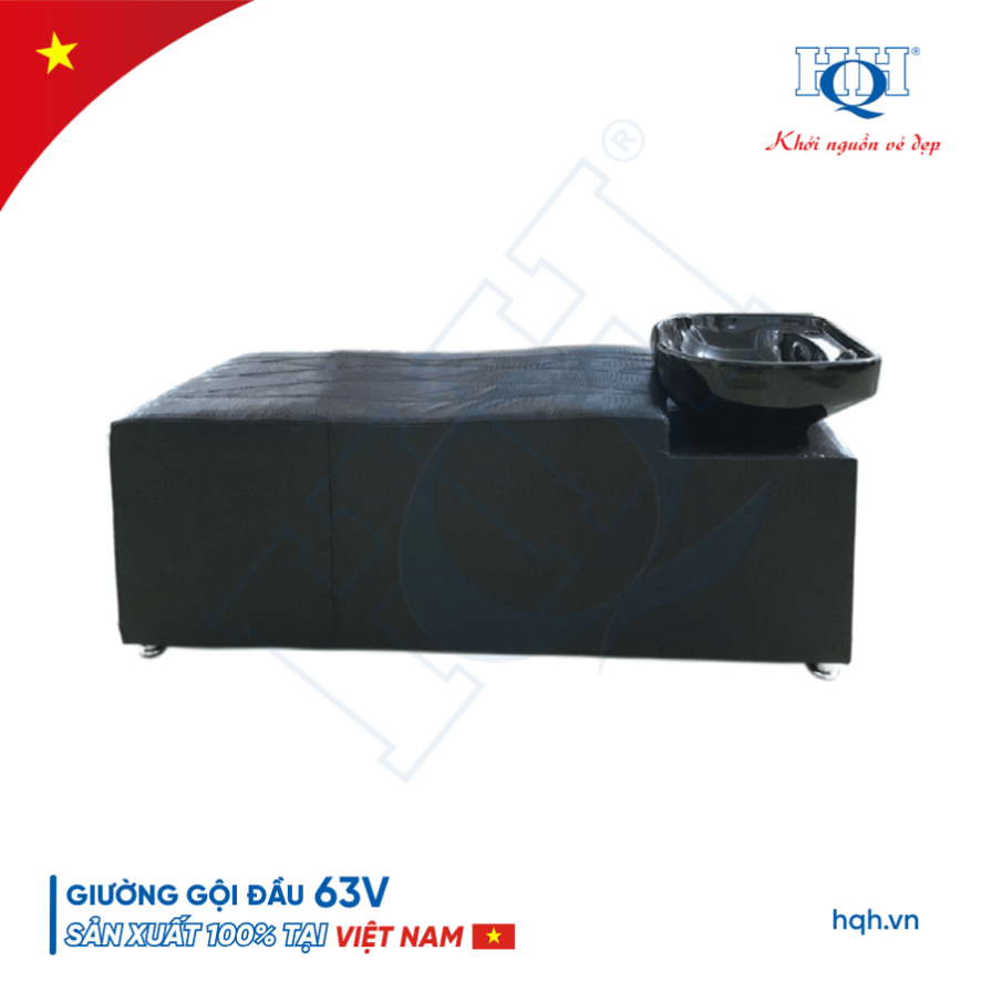 Giường gội đầu HQH 63V