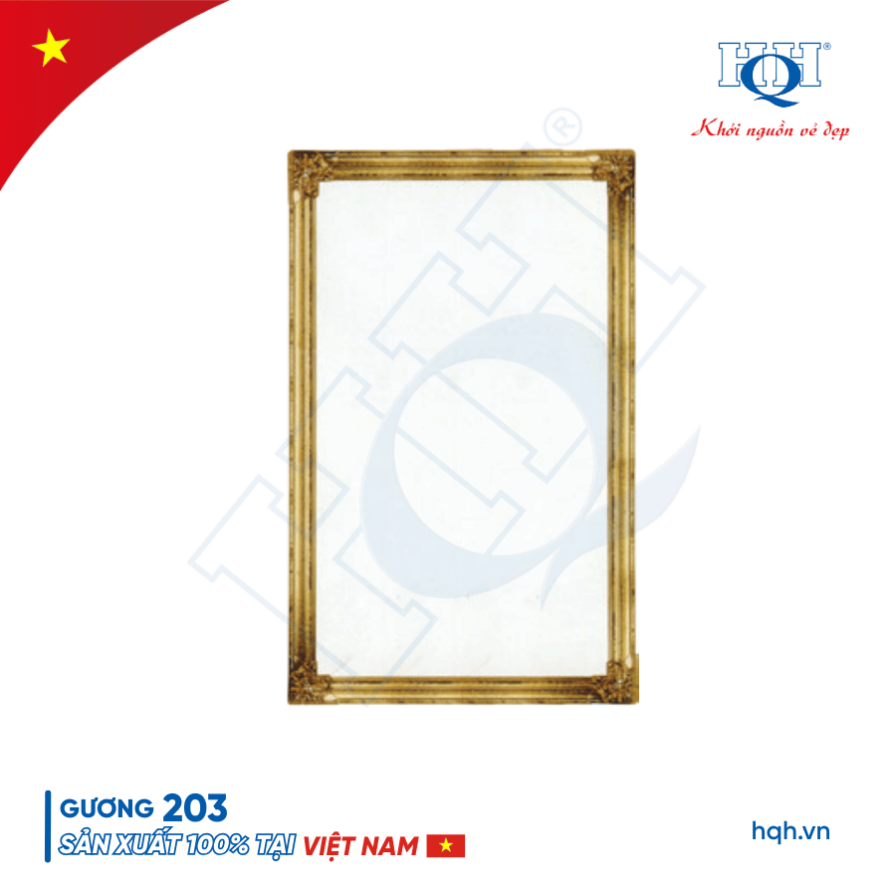 Gương HQH 203