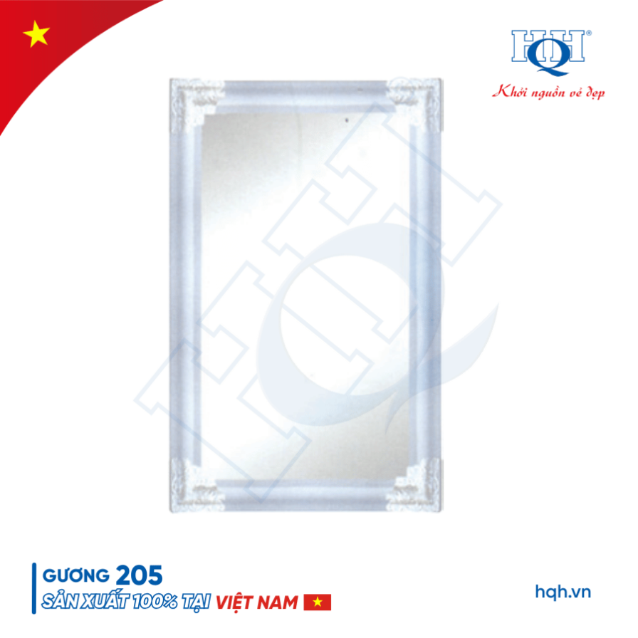 Gương HQH 205