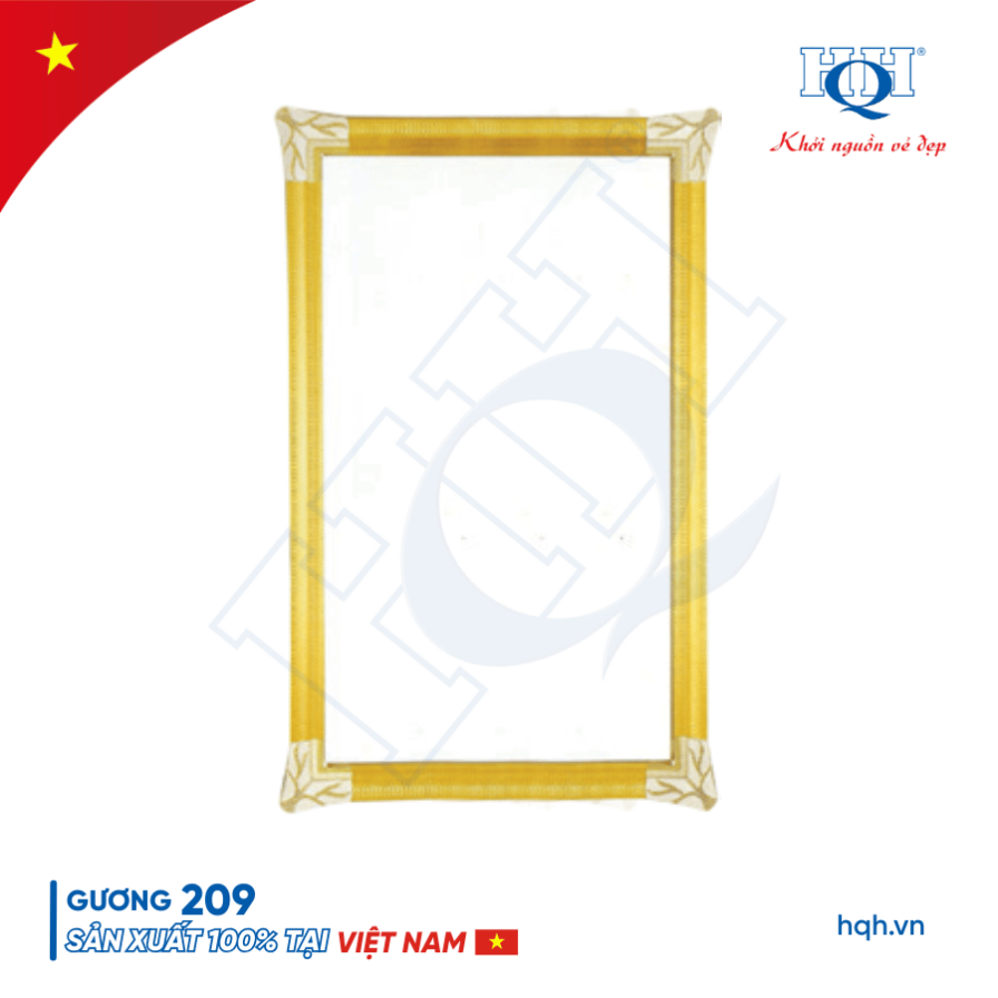 Gương HQH 209